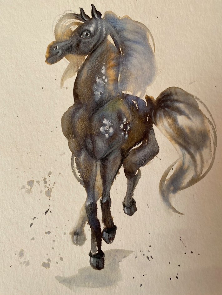 cavallo1